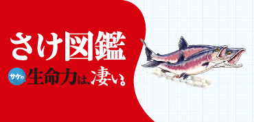 さけ図鑑