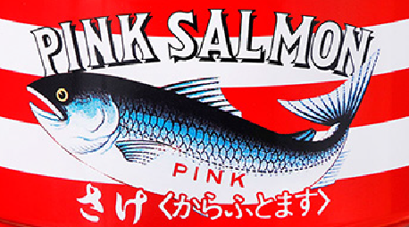 PINK SALMON