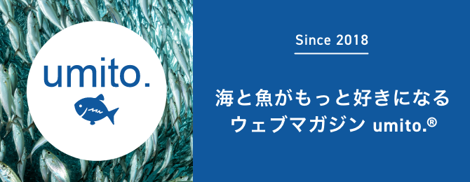 海と魚がもっと好きになるウェブマガジン　umito.®️