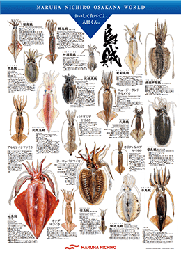 泳げ 人生という大海を 誕生魚診断2 0 マルハニチロ