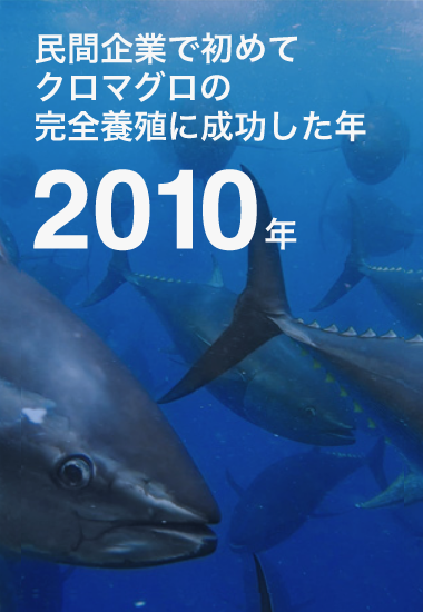 民間企業で初めてクロマグロの完全養殖に成功した年、2010年