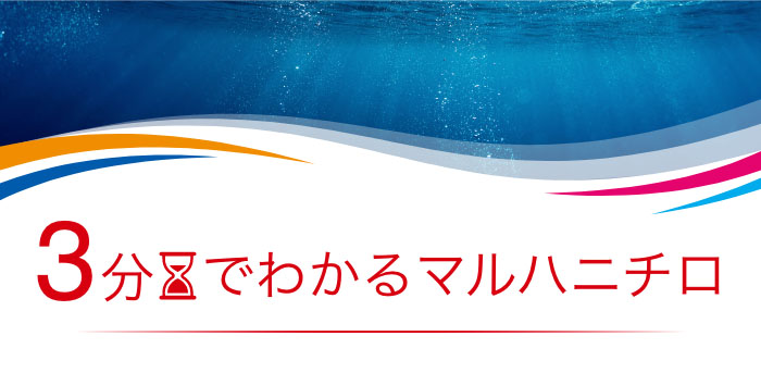 3分でわかるマルハニチロ