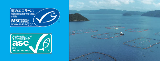 持続可能な漁業・養殖認証（MSC・ASC）の取り扱い推進