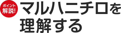 ポイント解説!マルハニチロを理解する
