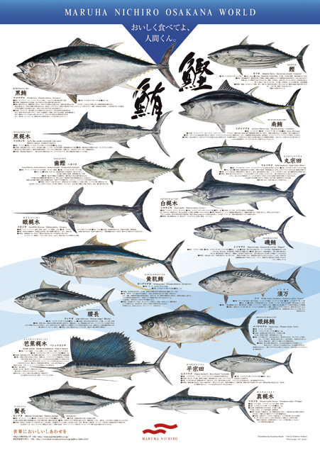 おさかなポスターコレクション マルハニチロ株式会社