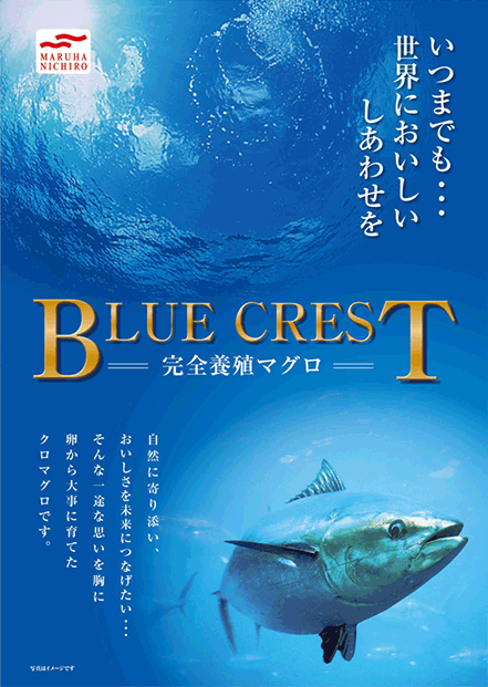 新ブランド「BLUE CREST」
