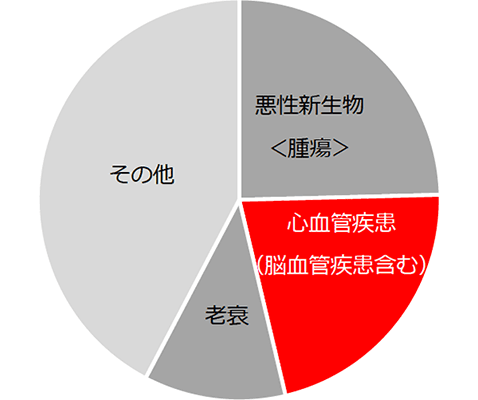 図１：日本人の死因