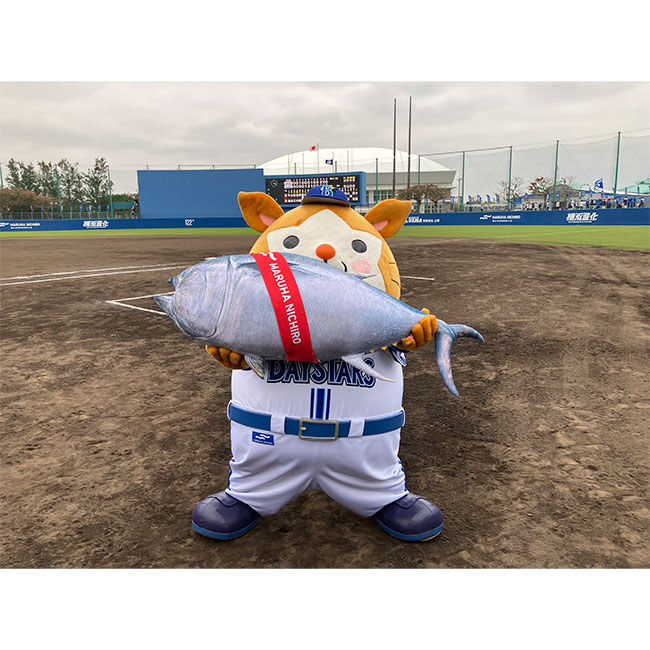 2024年春季キャンプ時の「DB.スターマン」
