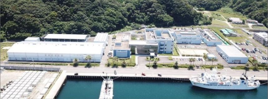 国立研究開発法人水産研究・教育機構 水産技術研究所(本所)