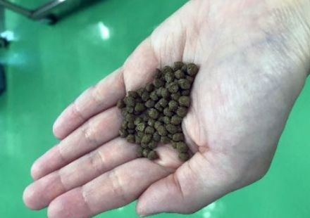 試験用飼料