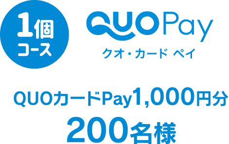 １個コース QUOカードPay1,000円分200名様