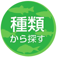 種類から探す