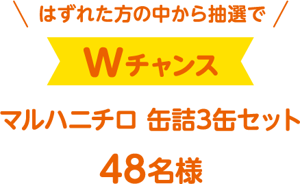 はずれた方の中から抽選でWチャンス マルハニチロ 缶詰3缶セット 48名様