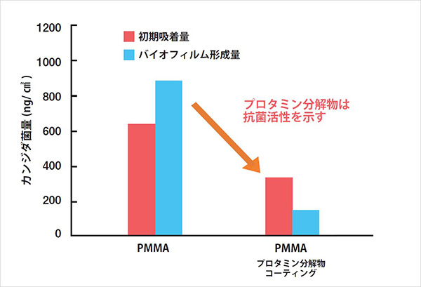 口腔内における抗菌作用