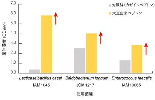 植物性ペプトンの高い微生物増殖能