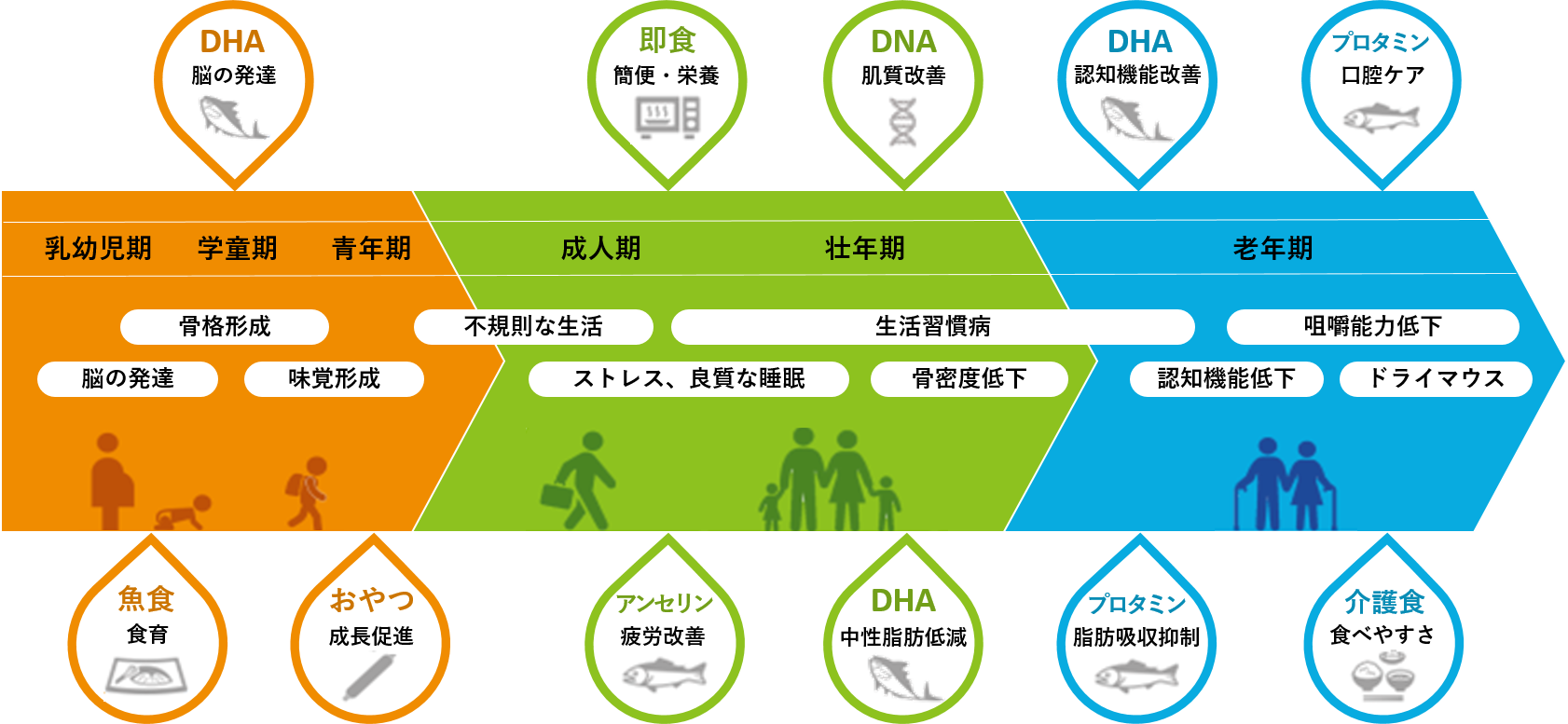 ライフステージとマルハニチロのかかわり