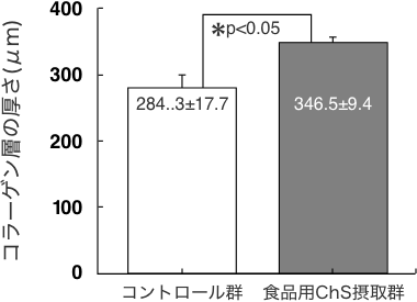 図５　皮膚におけるサメ軟骨抽出物（食品用ChS）摂取による影響（６週間）