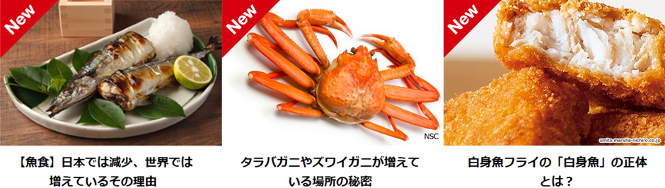 海といのちの未来をつくる