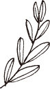 装飾イラスト