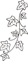 装飾イラスト