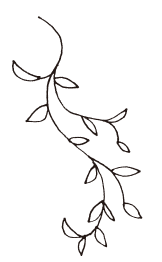 装飾イラスト