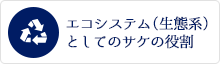 エコシステム（生態系）としてのサケの役割 