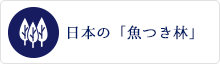 日本の「魚つき林」 