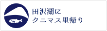 田沢湖にクニマス里帰り