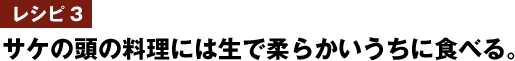 レシピ3　サケの頭の料理には生で柔らかいうちに食べる。