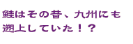 鮭はその昔、九州にも遡上していた！？