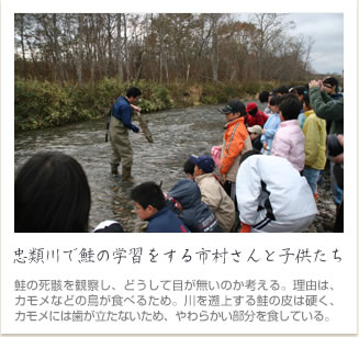 忠類川で鮭の学習をする市村さんと子供たち。