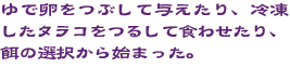 ゆで卵をつぶして与えたり、冷凍したタラコをつるして食わせたり、餌の選択から始まった。