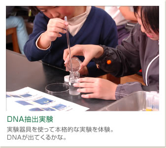 DNA抽出実験
実験器具を使って本格的な実験を体験。
DNAが出てくるかな。