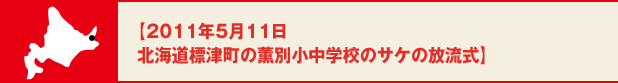 【2011年5月11日　北海道標津町の薫別小中学校のサケの放流式】