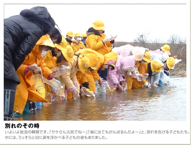 ３，４年生の児童たちが図工の時間に作ったサケの鯉のぼりです。元気に旅立ち、元気に育ってほしいとみんなで気合を入れました