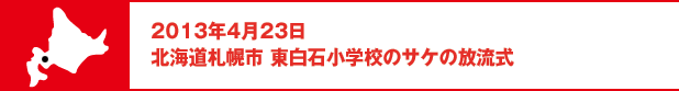 2013年4月23日　北海道札幌市　東白石小学校のサケの放流式