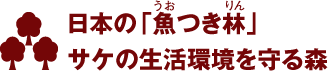 日本の「魚つき林」サケの生活環境を守る森