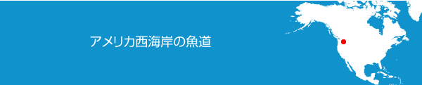 アメリカ西海岸の魚道