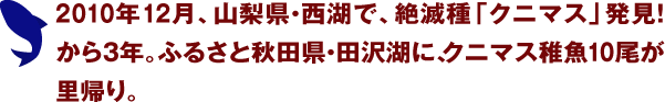 2010年12月、山梨県・西湖で、絶滅種「クニマス」発見！から3年。ふるさと秋田県・田沢湖に、クニマス稚魚10尾が里帰り。