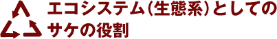 エコシステム（生態系）としてのサケの役割