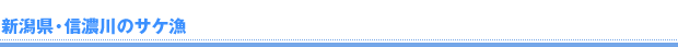 新潟県・信濃川のサケ漁