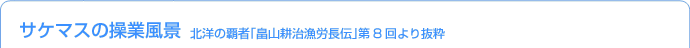 流し網の解説