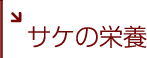 サケの栄養