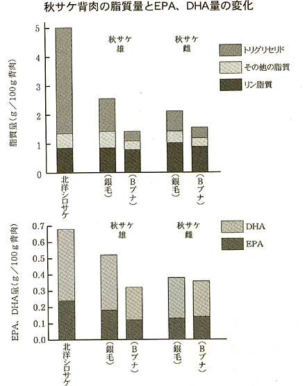 秋サケ背肉の脂質量とEPA、DHA量の変化