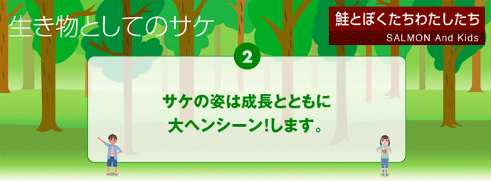 サケの姿は成長とともに大ヘンシーン！します。