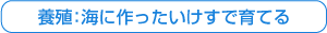 養殖：海に作ったいけすで育てる