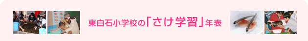 東白石小学校の「さけ学習」年表