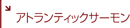 アトランティックサーモン