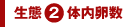 生態2体内卵数