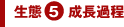 生態5成長過程